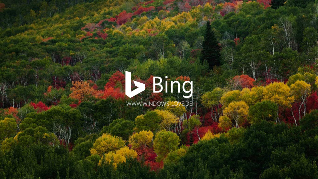 Bing Maps mit Live Verkehrsbildern startet in den USA