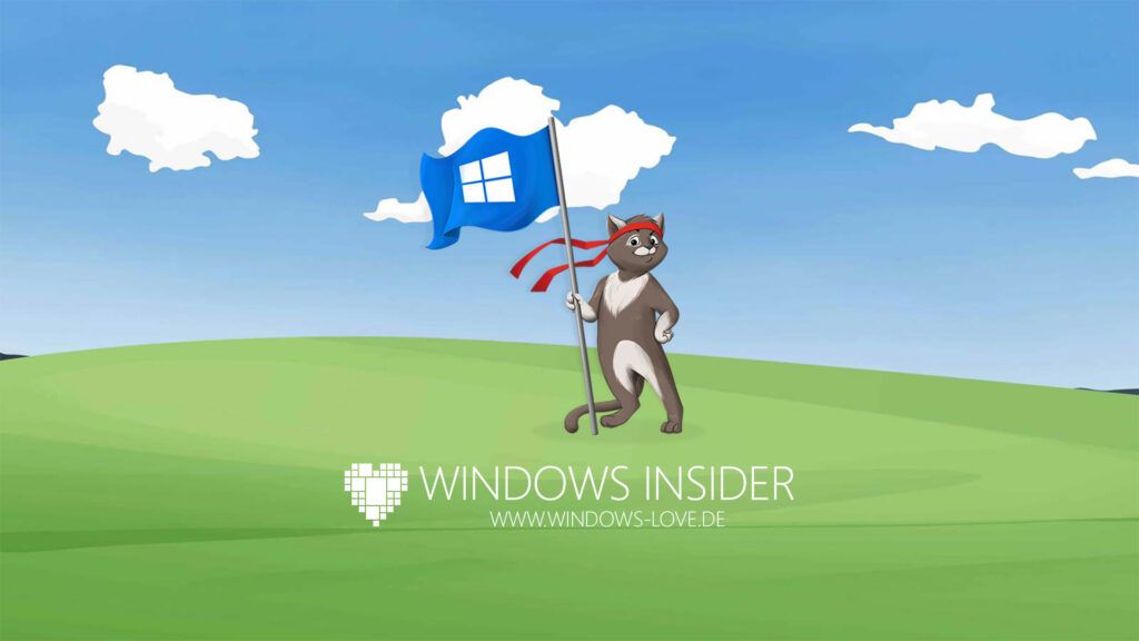 Windows Insider Build 19555 veröffentlicht